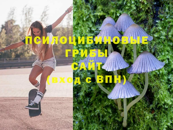 соль курить ск Краснослободск