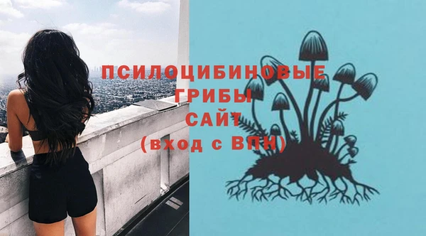 соль курить ск Краснослободск