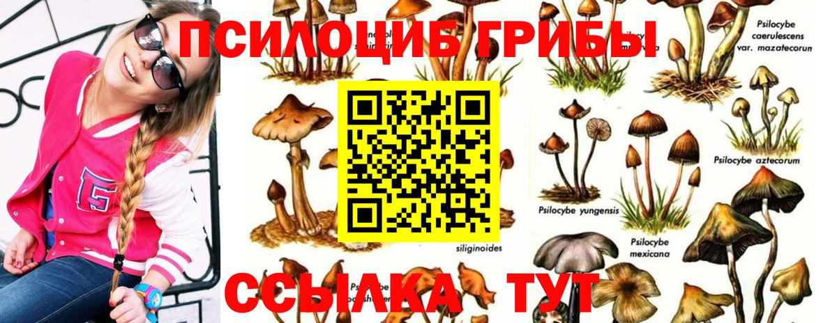 цены   Вход с VPN  Старая Русса  Псилоцибиновые грибы мухоморы 