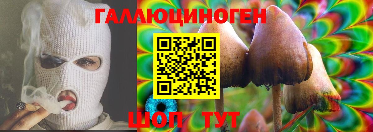 Галлюциногенные грибы MAGIC MUSHROOMS Старая Русса
